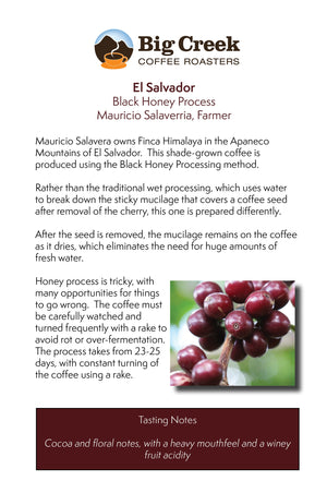 
                  
                    Sample flyer with farm and tasting notes for coffee subscription
                  
                